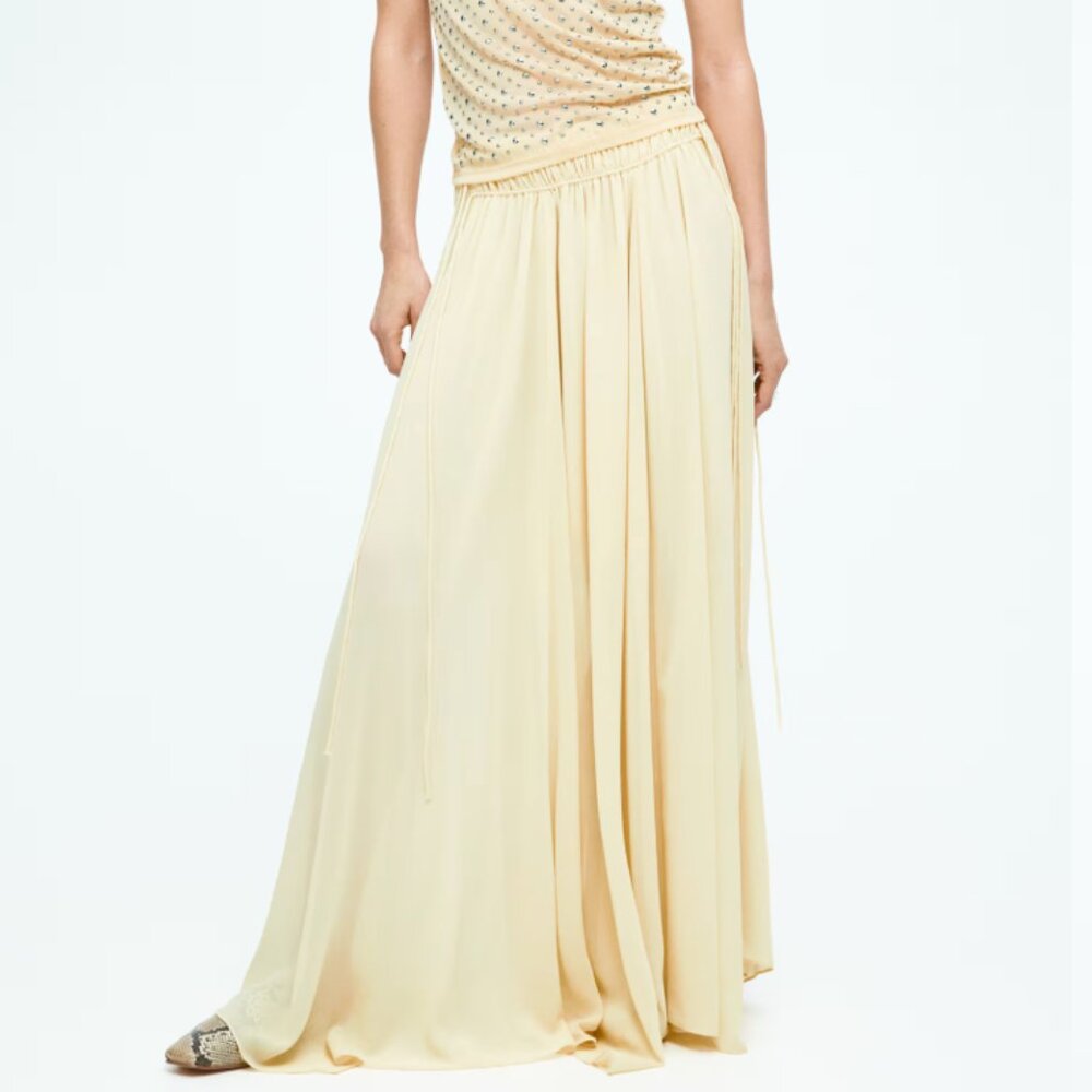 Chiffon Circle Skirt